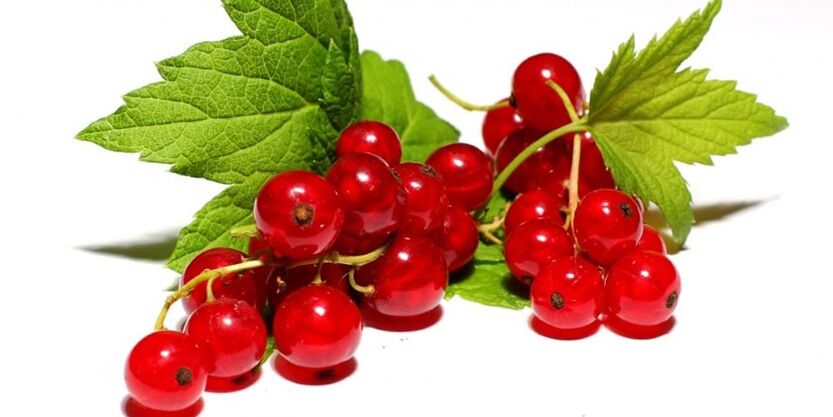 Red currant is on the list of foods banned from the hypoallergenic diet. 